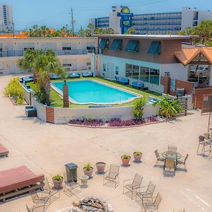 Banana Peel Lodge